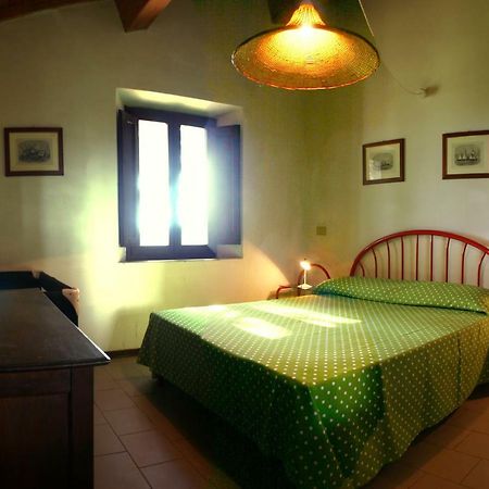 Casalevecchio Apartment Casale Marittimo Bagian luar foto