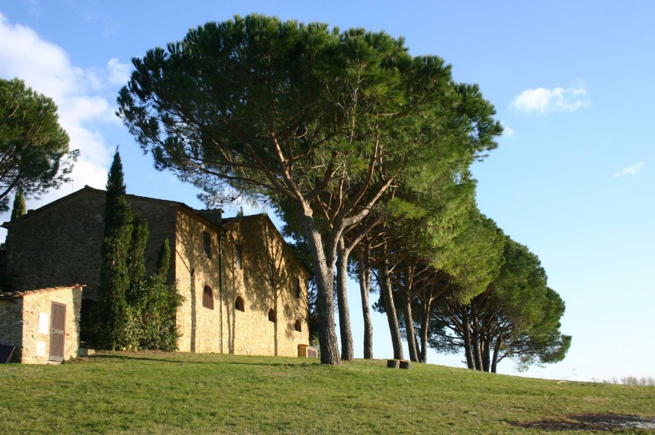 Casalevecchio Apartment Casale Marittimo Bagian luar foto